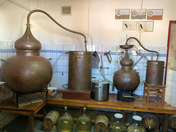 Cadushy Distillery in Bonaire