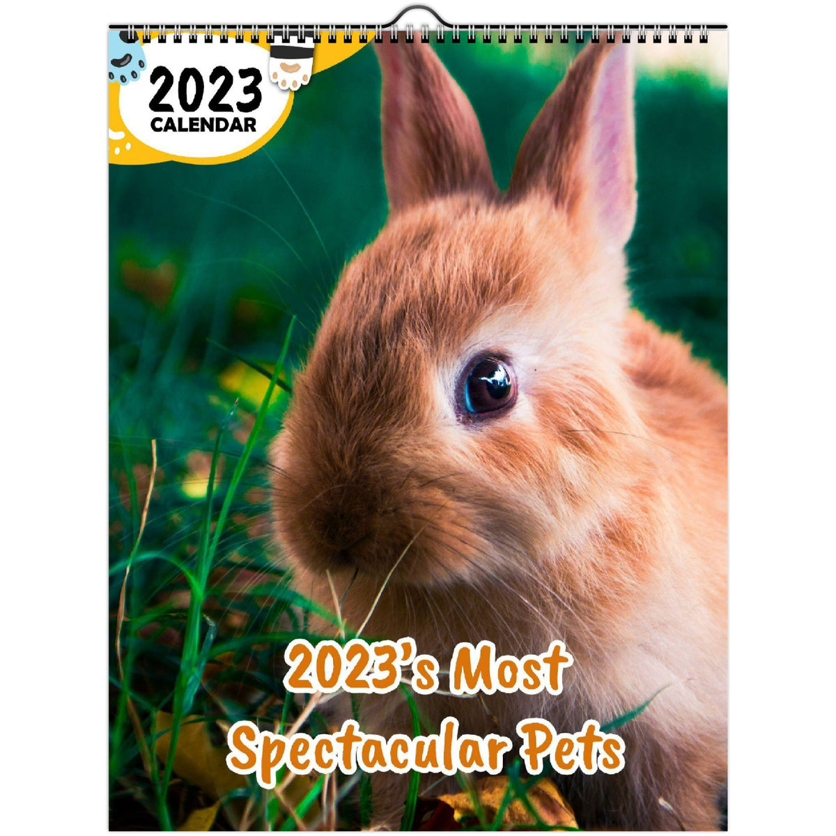 2023's Most Spectacular Pets 2023 Wall Calendar The Blissful Birder