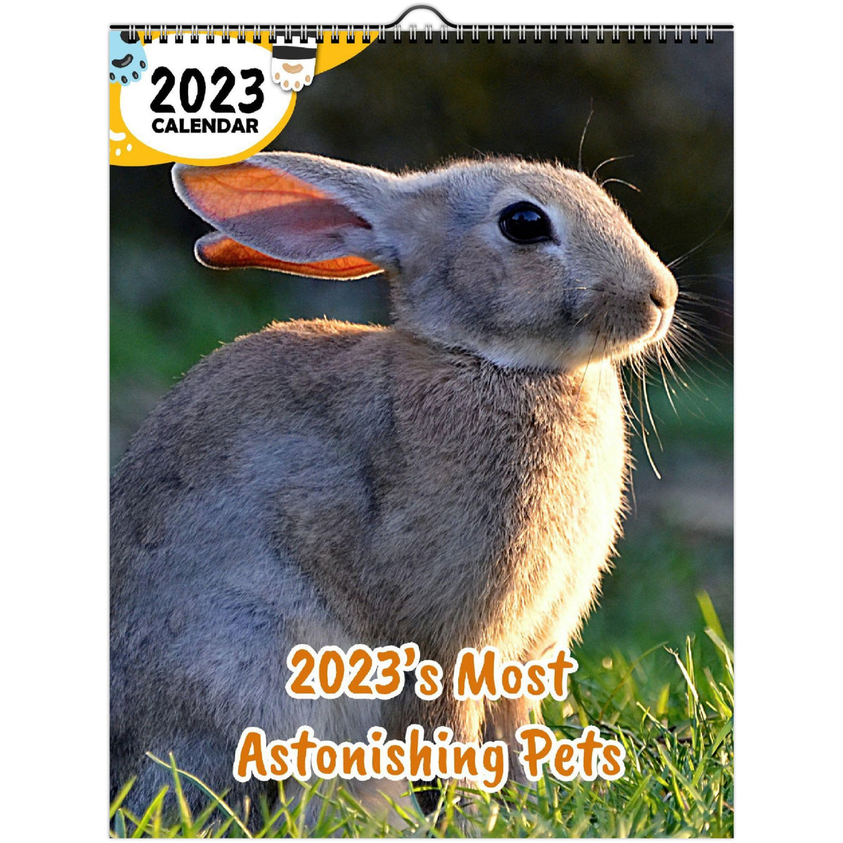 2023's Most Astonishing Pets 2023 Wall Calendar The Blissful Birder