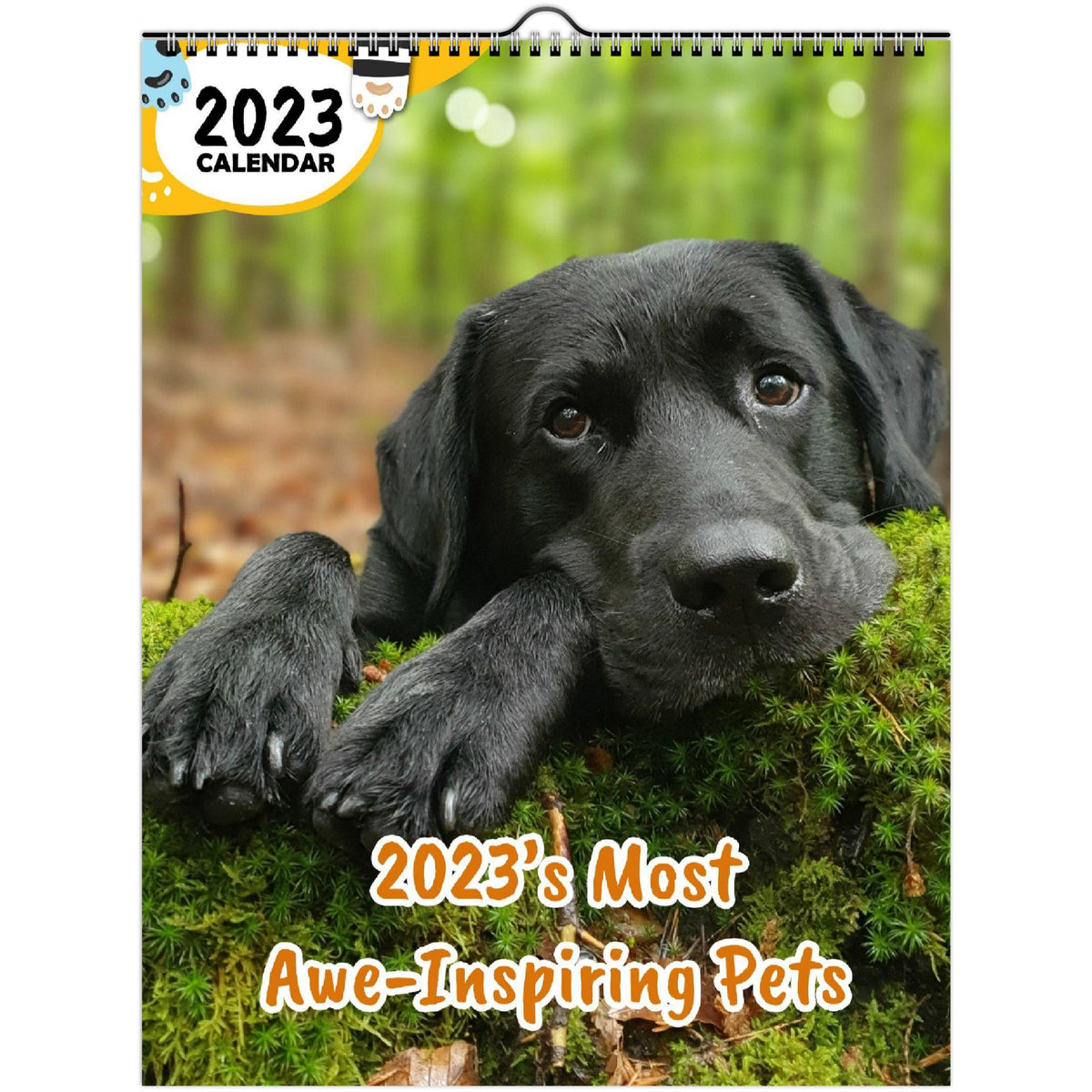 2023's Most AweInspiring Pets 2023 Wall Calendar The Blissful Birder