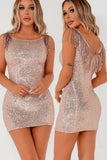 Ginelle Rose Gold Tassel Sequin Dress