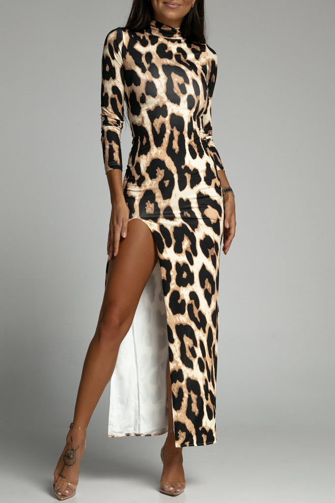 Larissa Leopard Print Maxi Dress