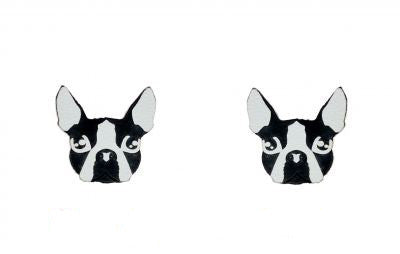 Boston Terrier Studs