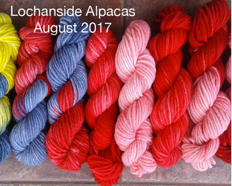 Lochanside Alpacas August 2017 Indie dyer