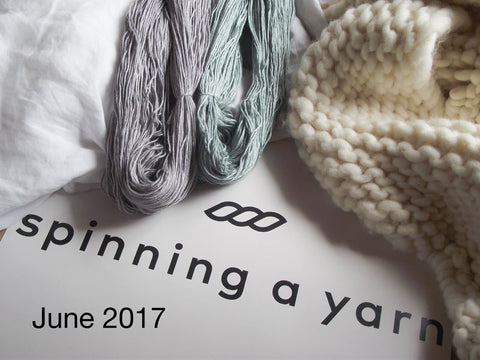 Spinning a yarn June 2017 Indie dyer