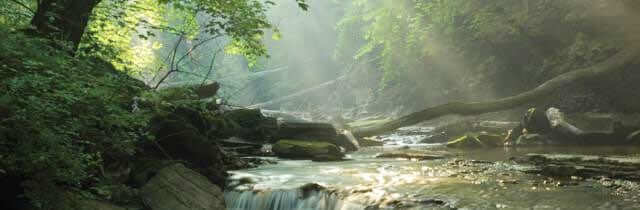 Salt Run Trail | CVNP