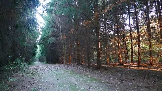 Tree Farm Trail | CVNP