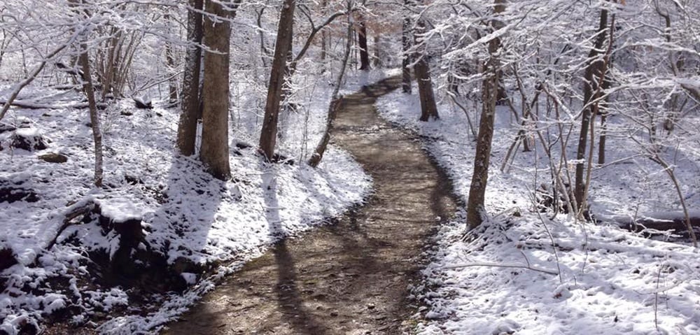 Snow along the trail