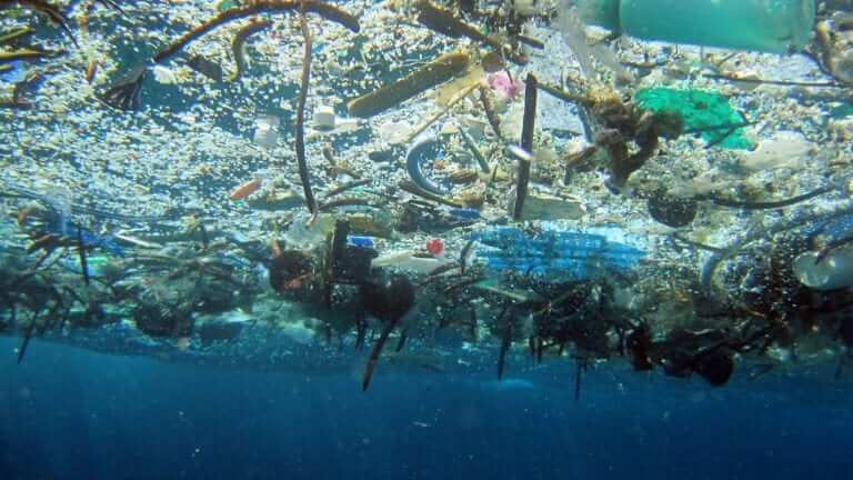 Trash in the ocean