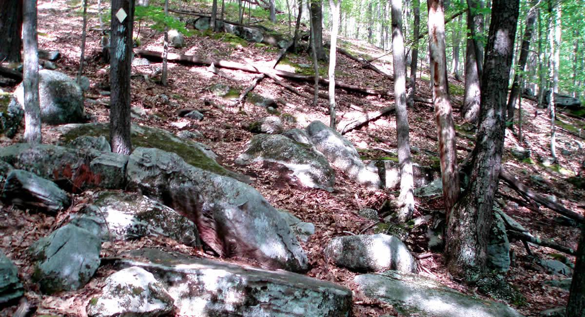 Rocks on the side of the trail