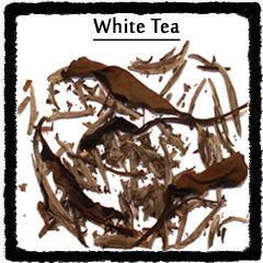 Types of White Tea leaves