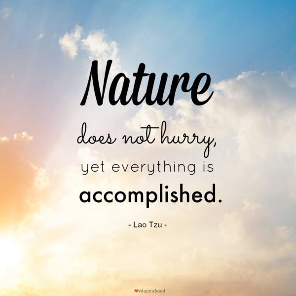 Nature Does Not Hurry