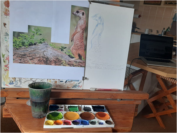 meerkat watercolour work in progress 