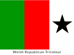 Welsh Republican Tricolour Flag