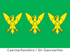 Caernarfonshire flag