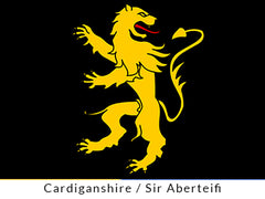 Cardiganshire Flag