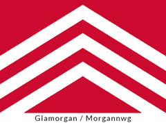Glamorgan Flag