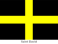 Saint David's Flag