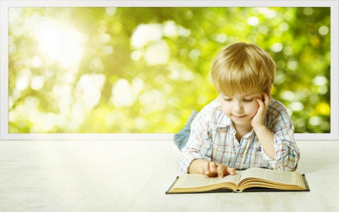 We Choose Virtues has the Christian homeschool program you're looking for.