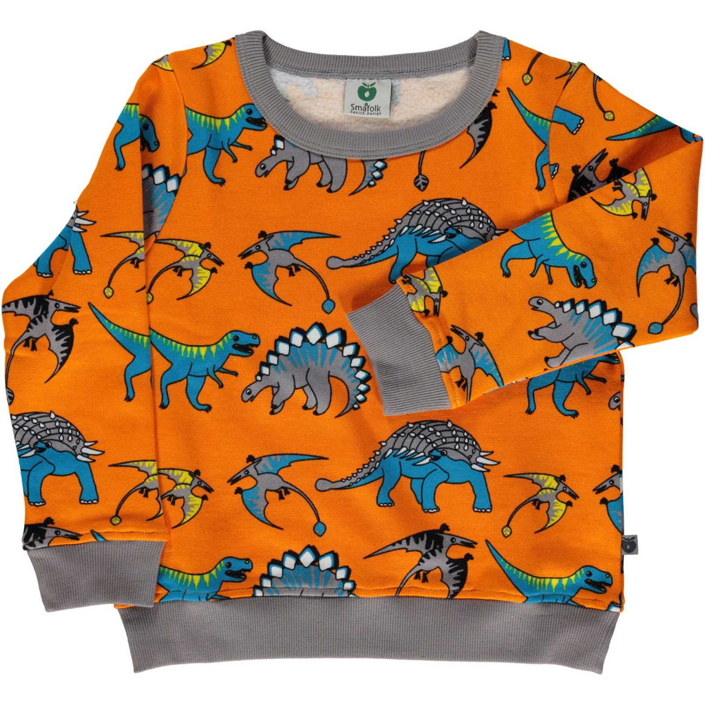 Funky Dino Sweatshirt