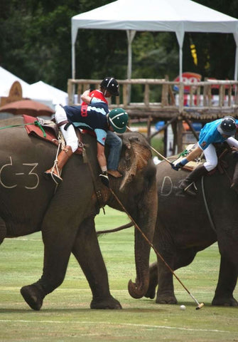 Ed Story (in the green hat) leans down to smack a polo ball during an elephant polo tournament in southeast Asia.