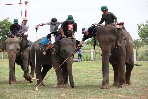 Polo action during the 2016 Elephant Story Invitational Tournament in Thailand in June.