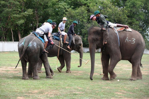 Polo action during the 2016 Elephant Story Invitational Tournament in Thailand in June