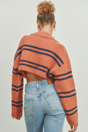 Striped Crop Collared Sweater