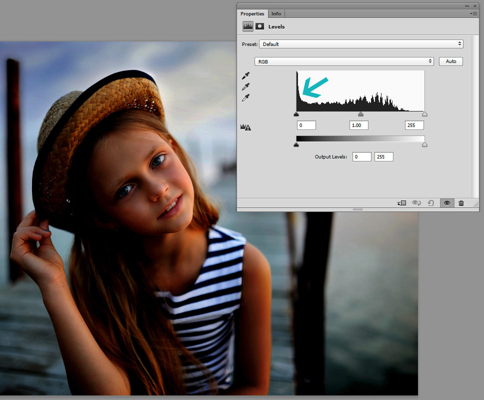 how to read a histogram photoshop