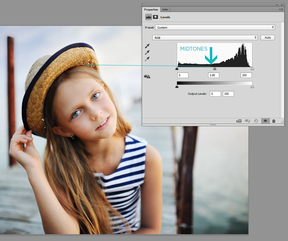 what is histogram in photoshop