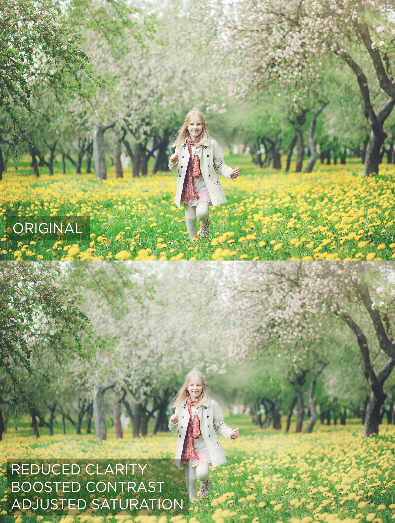 Creating a Soft Dreamy Scene with Photoshp Actions