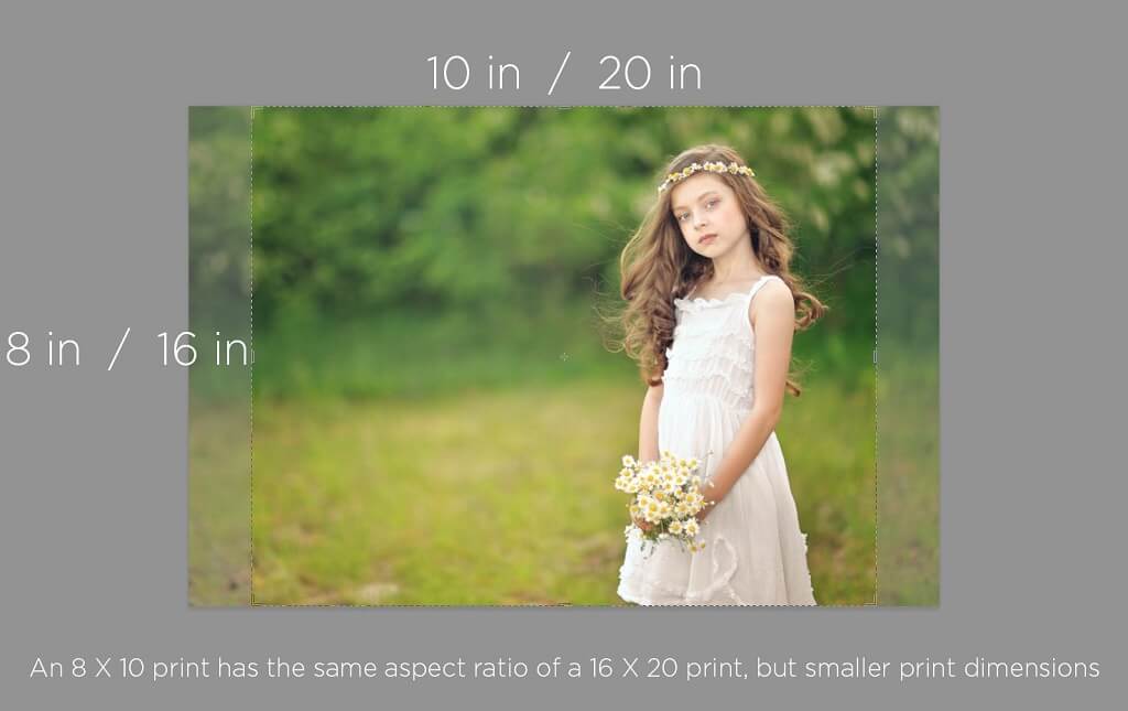 How to Size a Photo for Printing