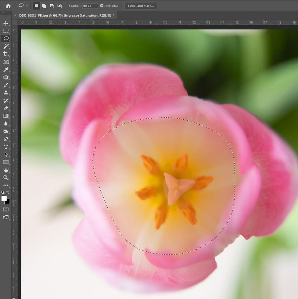 How to Use Lasso in Photoshop