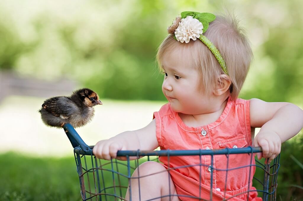 Tips for Capturing Children with Animals