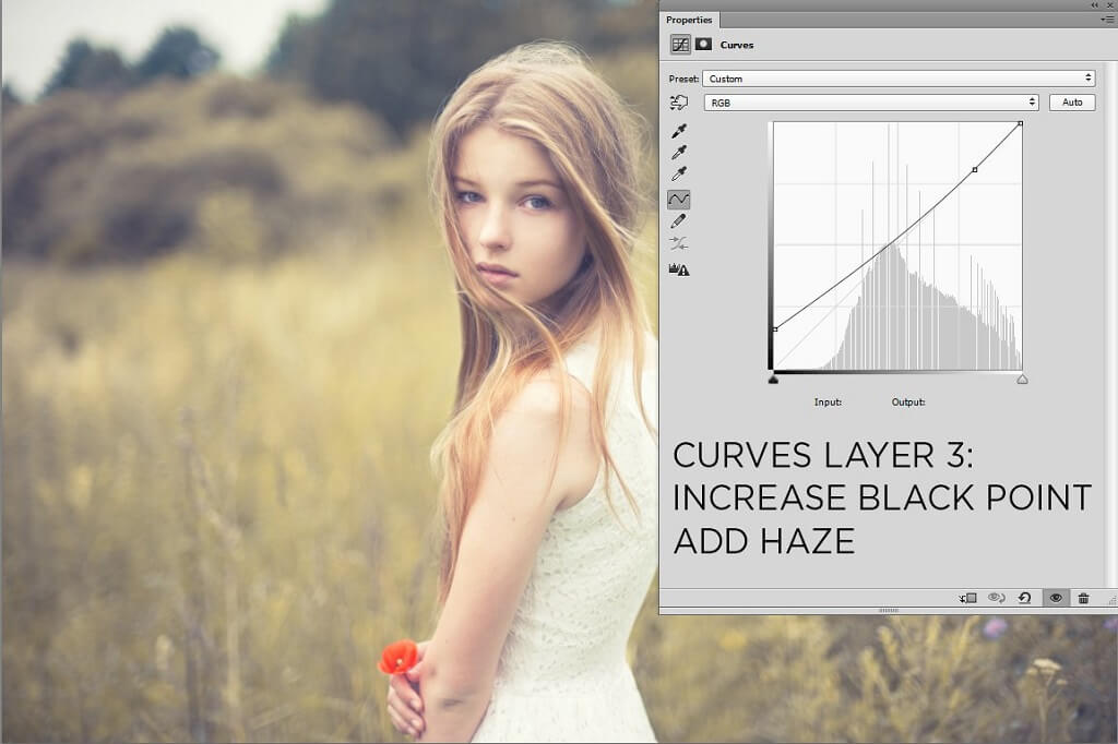 Curve Adjustment