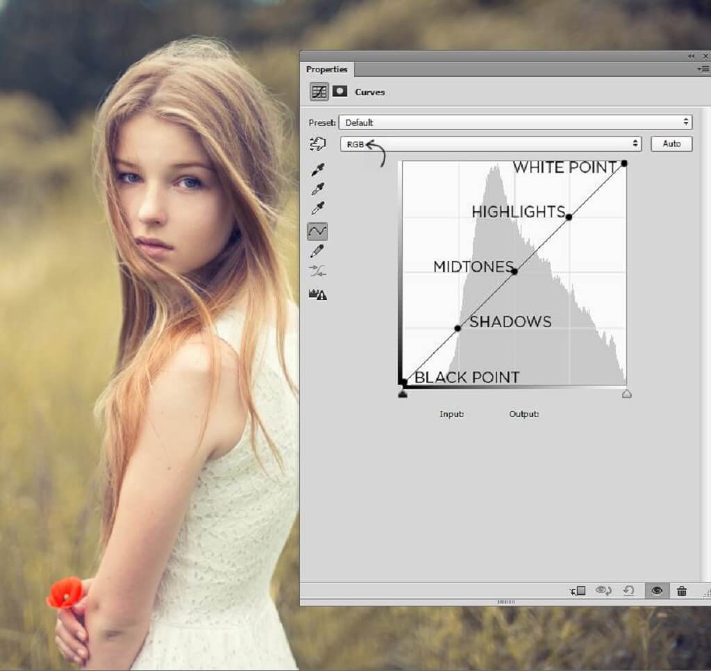 How to Use Curves in Photoshop