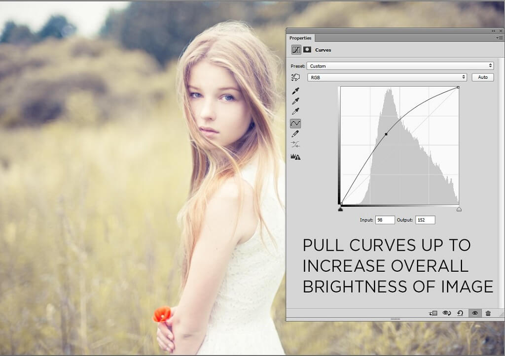Curve Tool Photoshop