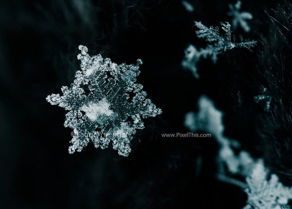 Snowflakes Photography