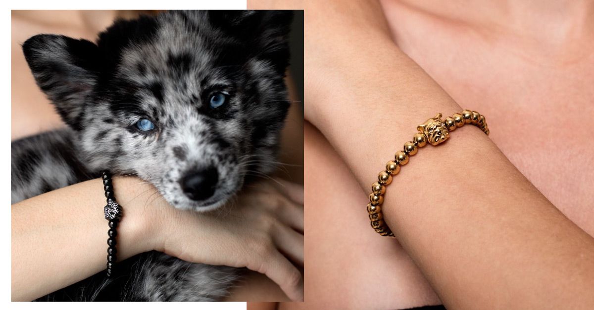 Dog Paw Jewelry ASPA Charity Bracelet