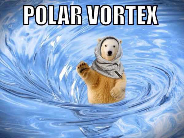 Polar_Vortex_grande.jpg?10462