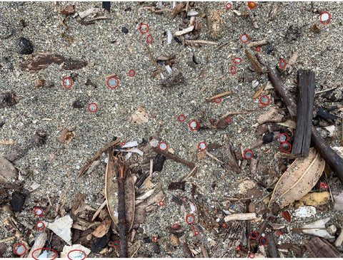 Plastic hidden in sand - Beach December 2018
