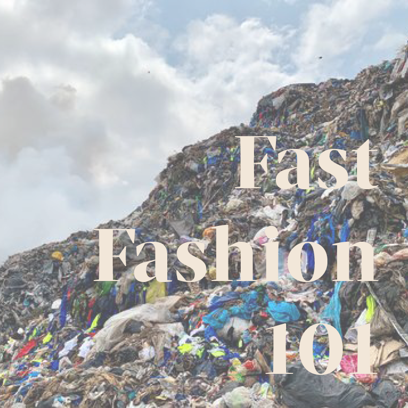 Fast Fashion 101 What Are Fast Fashion Brands? Birdsong