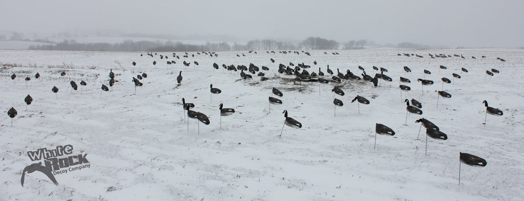 Windsock Decoy Spread Canada Goose