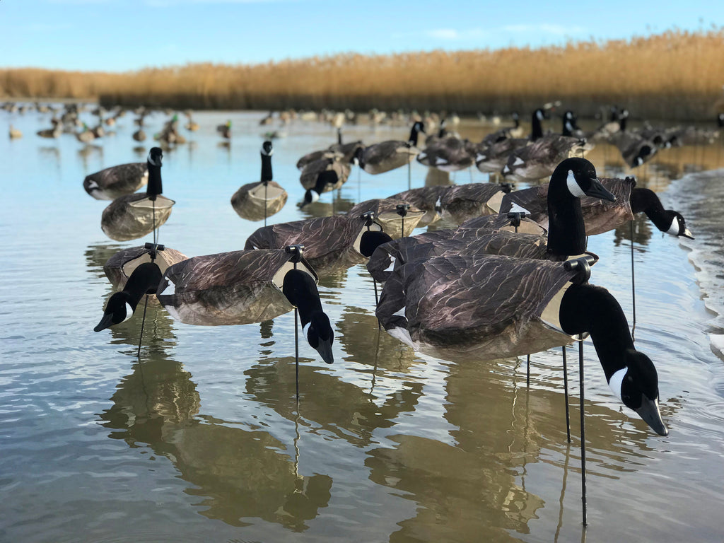 Windsock Goose Decoys Over Water