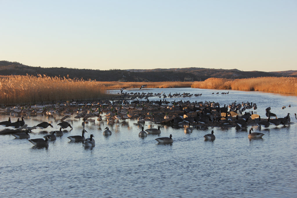 Windsock Decoys Sand Bar Hunting