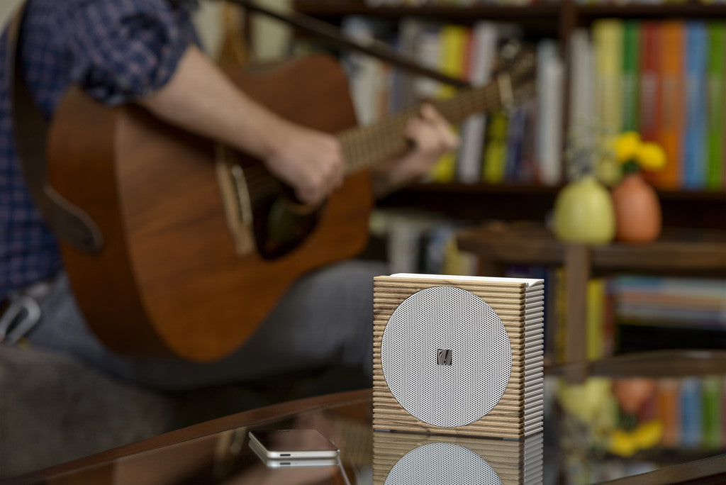 Naiise.com - Soundfreaq Sound Spot Portable Speaker | Wood