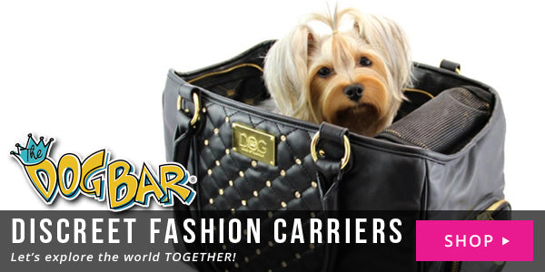 discreet fashion dog carriers