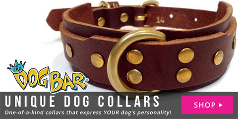 Unique Dog Collars