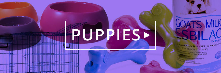 stuff just for puppies