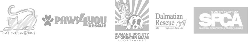 Miami Dog And Cat Rescue Organizations